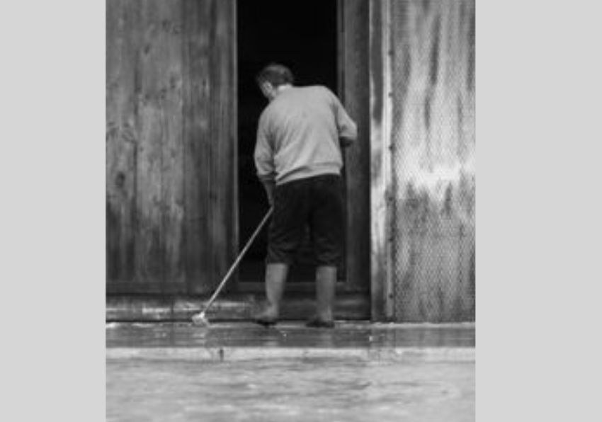 Imagen del evento:CALL FOR PAPERS INTERNATIONAL CONFERENCE THE LAW IN THE FACE OF NATURAL DISASTERS AFTER THE 29 O